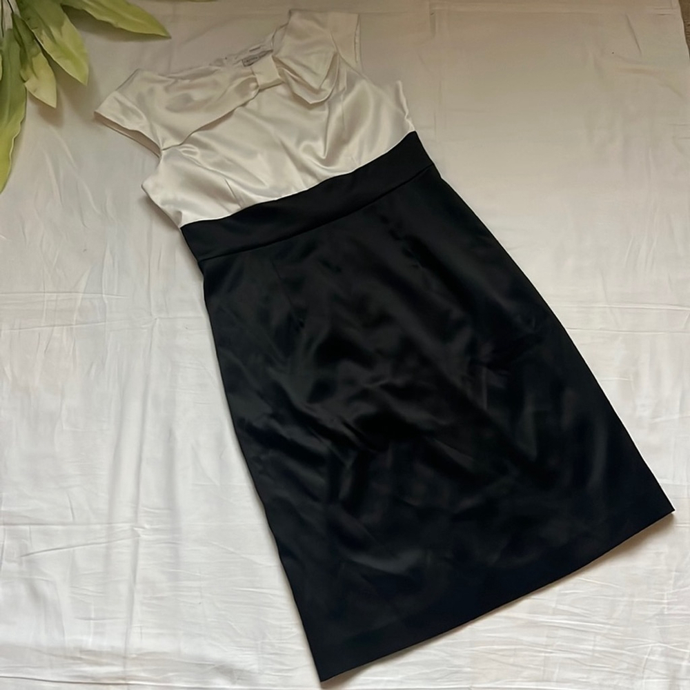 Sandra Darren Dress